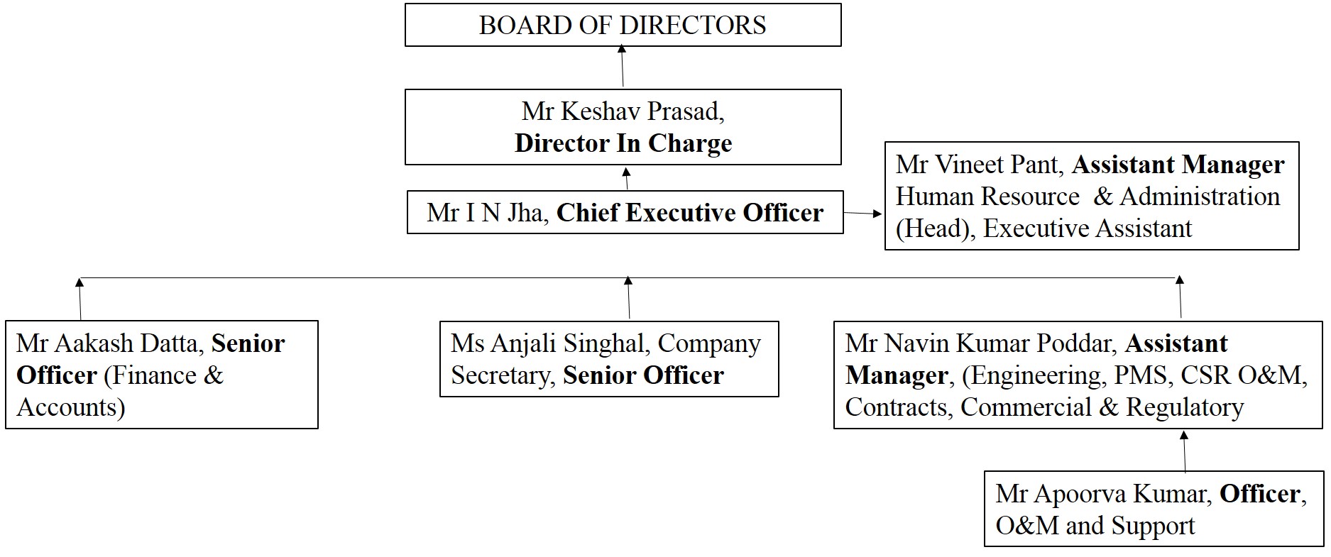Organization Chart Cross Border Power Transmission